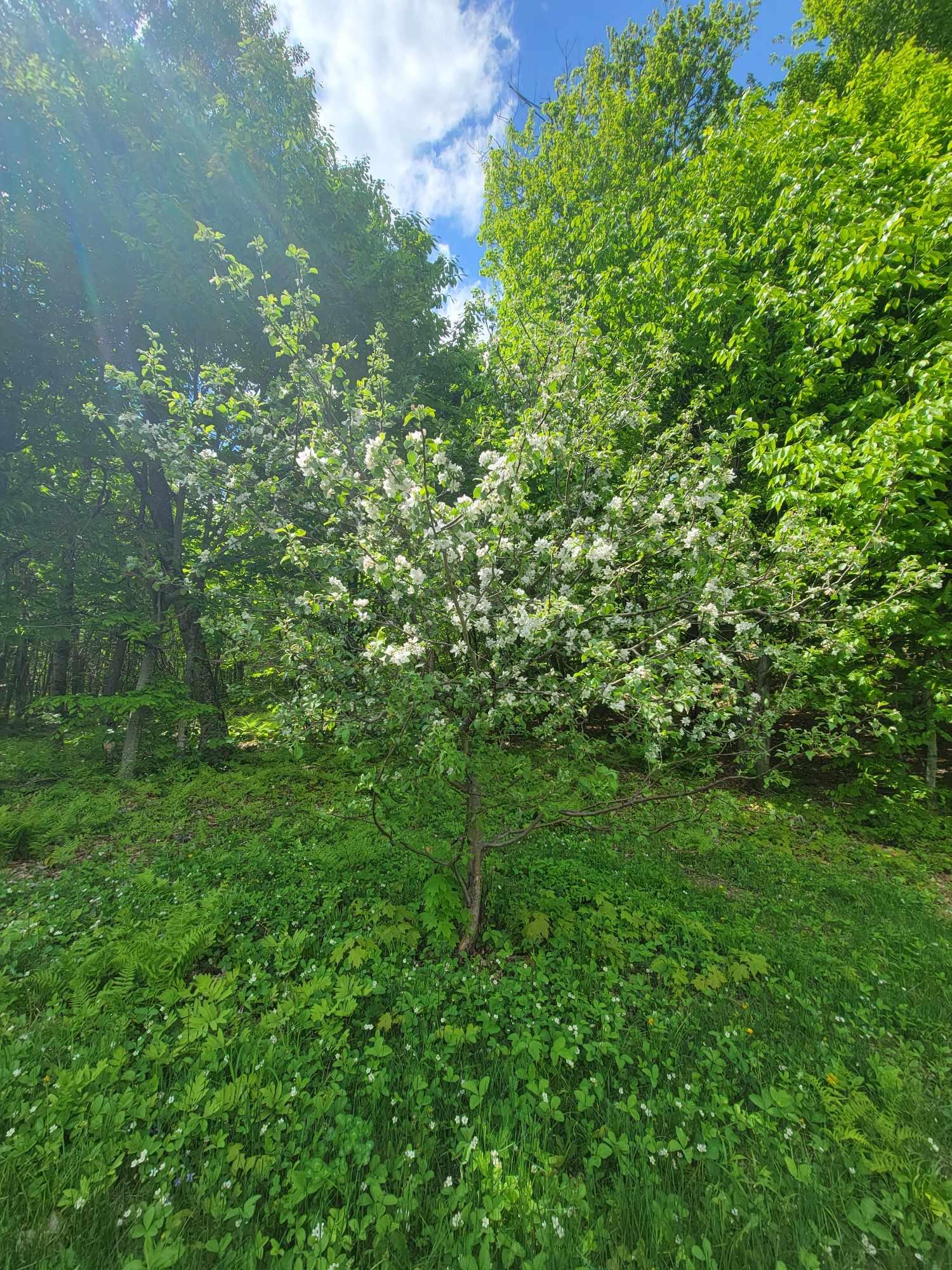 233 Weld Road Phillips ME 04966