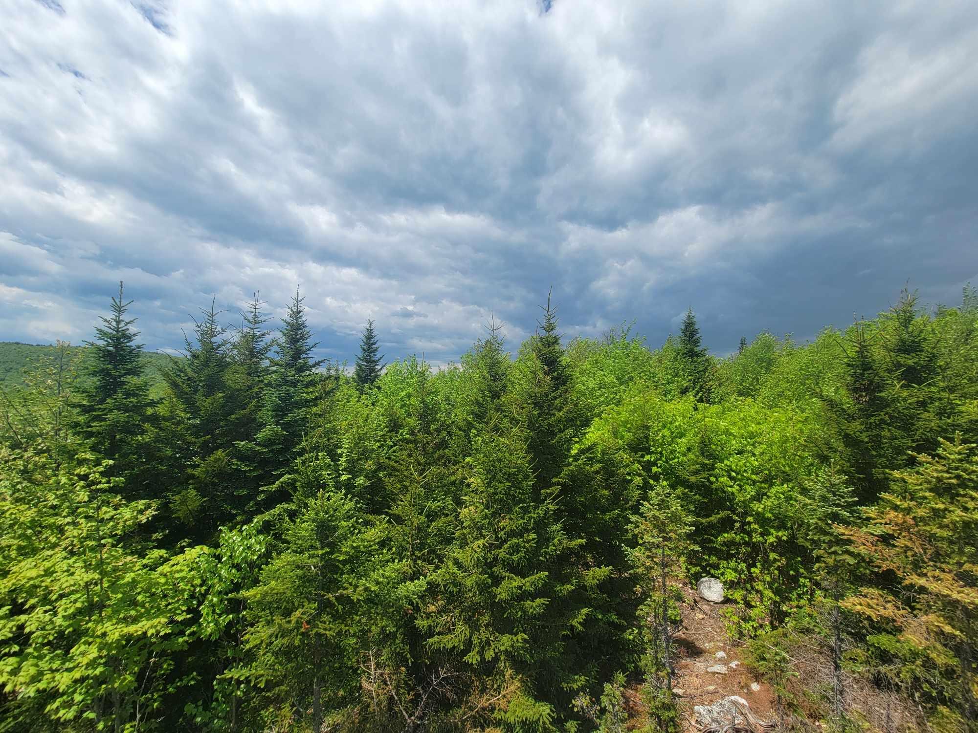 233 Weld Road Phillips ME 04966