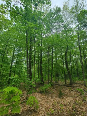 233 Weld Road Phillips ME 04966