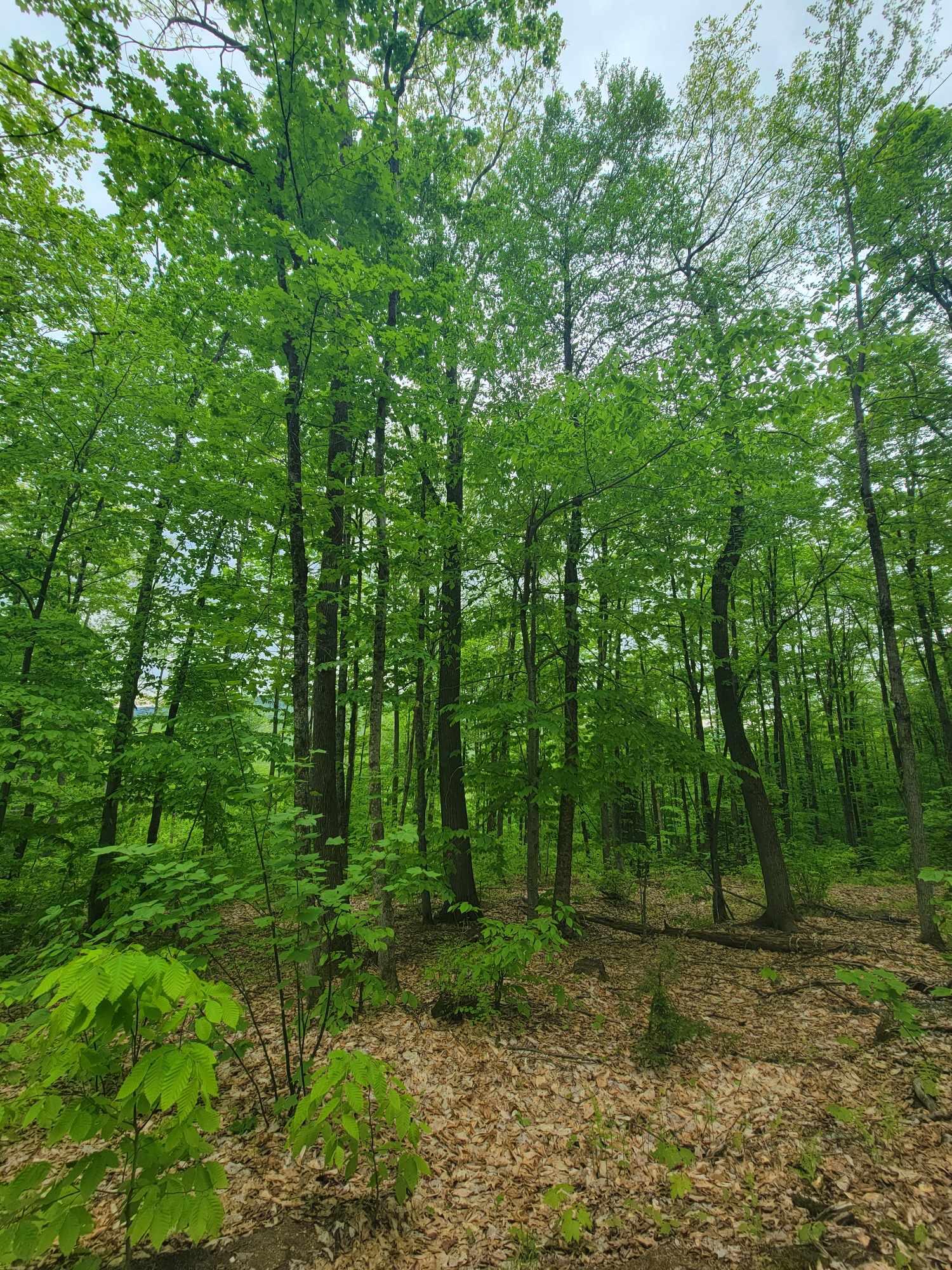 233 Weld Road Phillips ME 04966