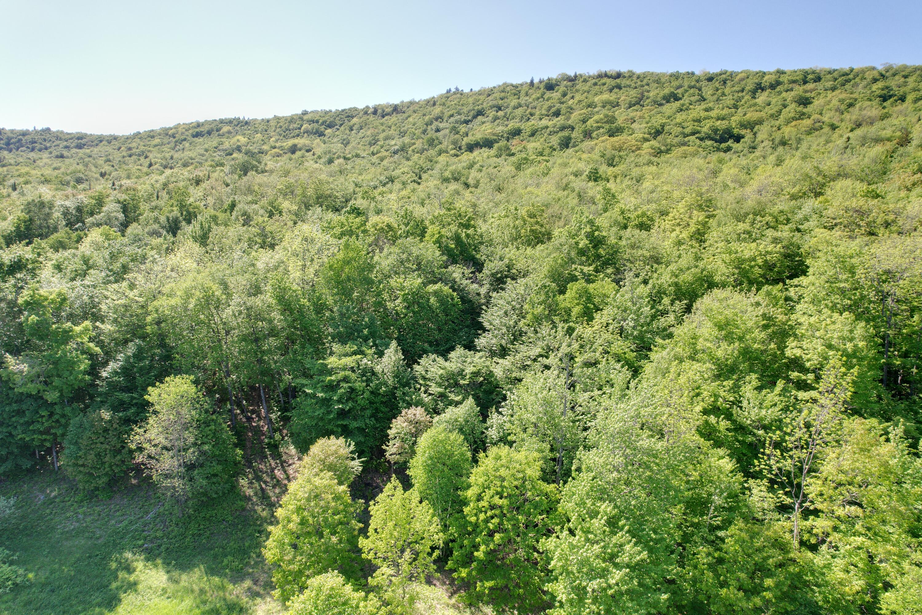 233 Weld Road Phillips ME 04966