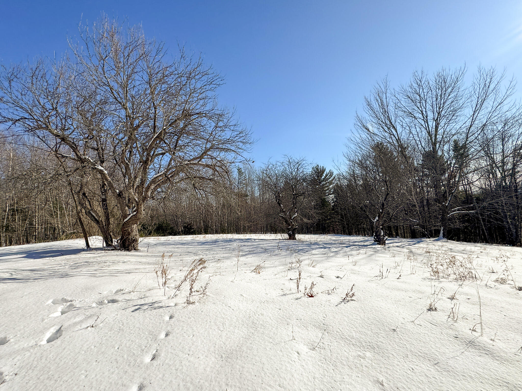 203 East Shore Road Embden ME 04958