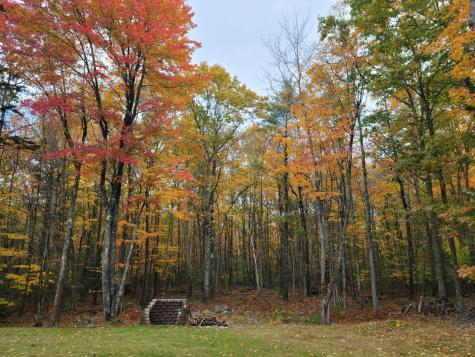 817 Millvale Road Bucksport ME 04416