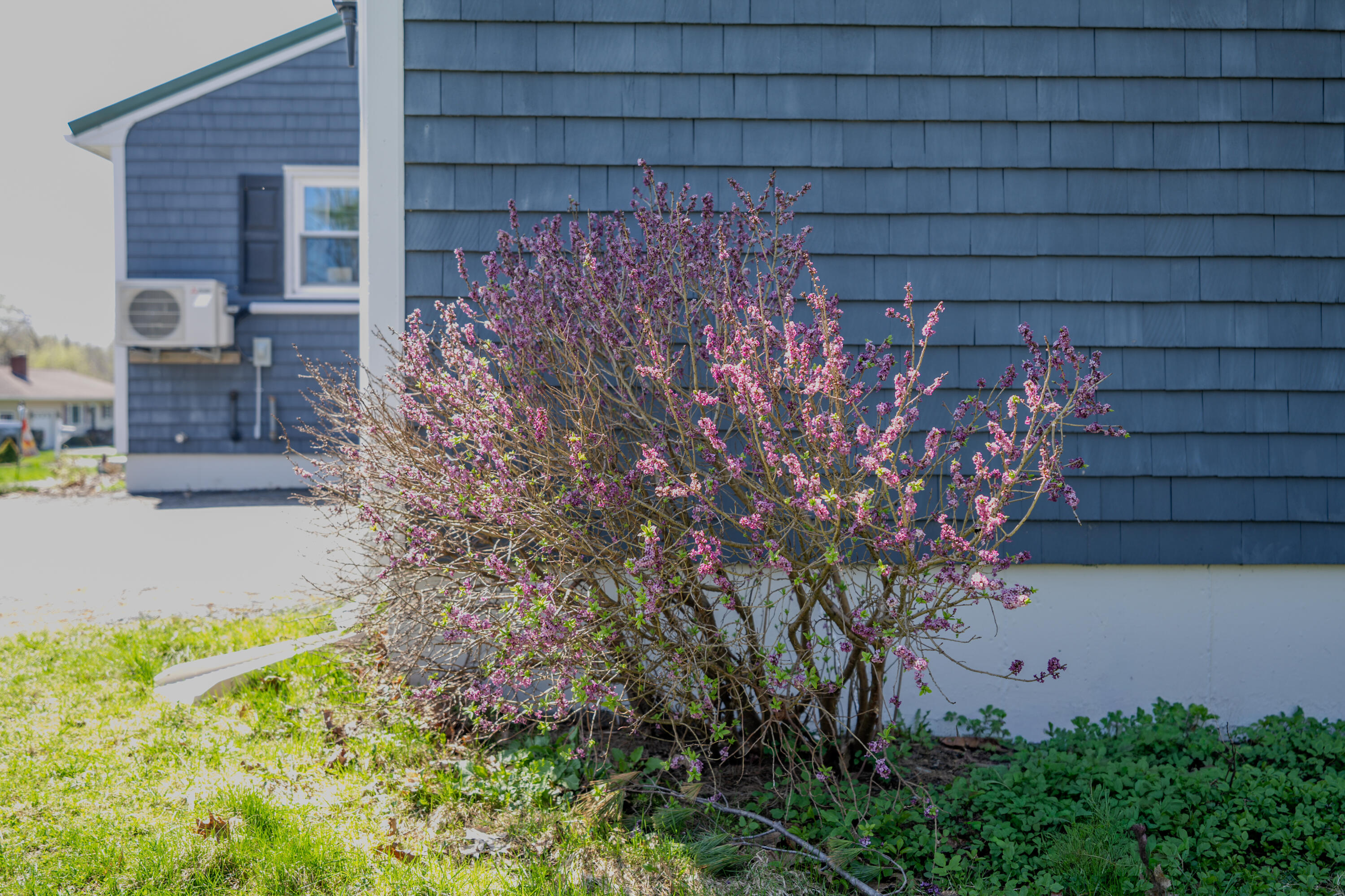 25 Arbor Drive Veazie ME 04401