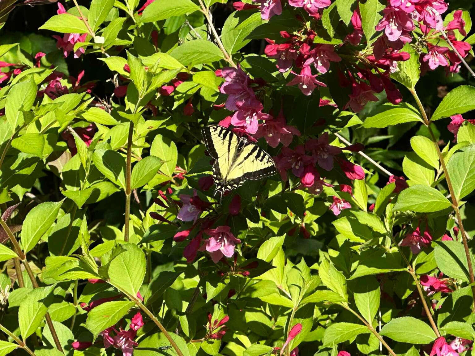 192 Hill Top Road Chesterville ME 04938