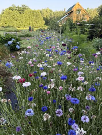 163 Ayer Ridge Road Freedom ME 04941