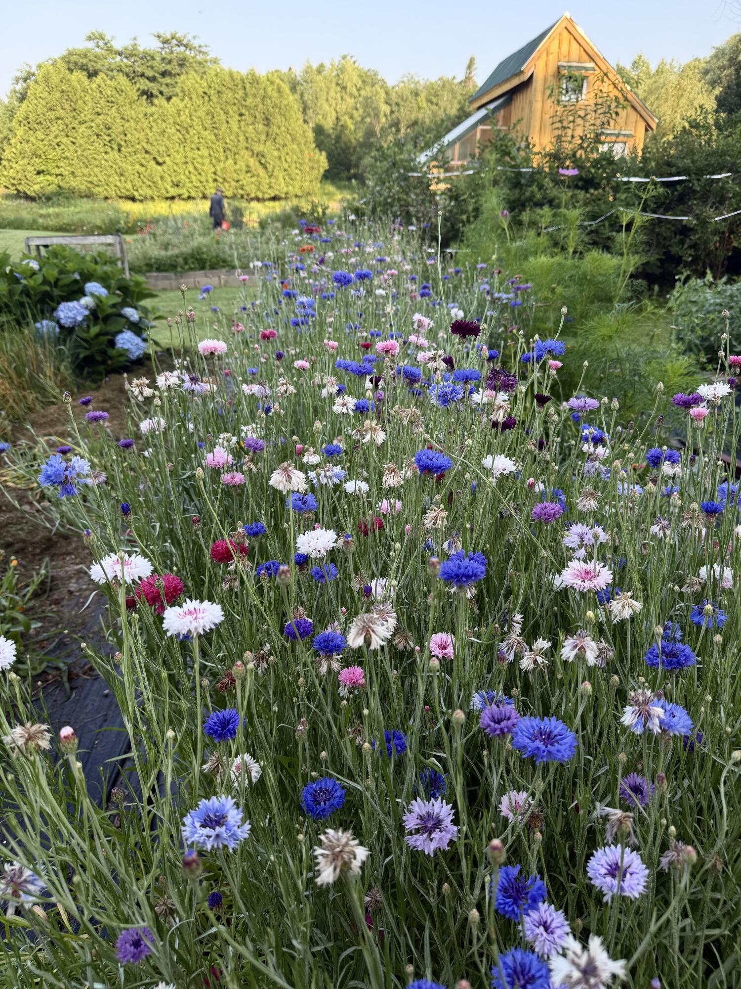 163 Ayer Ridge Road Freedom ME 04941