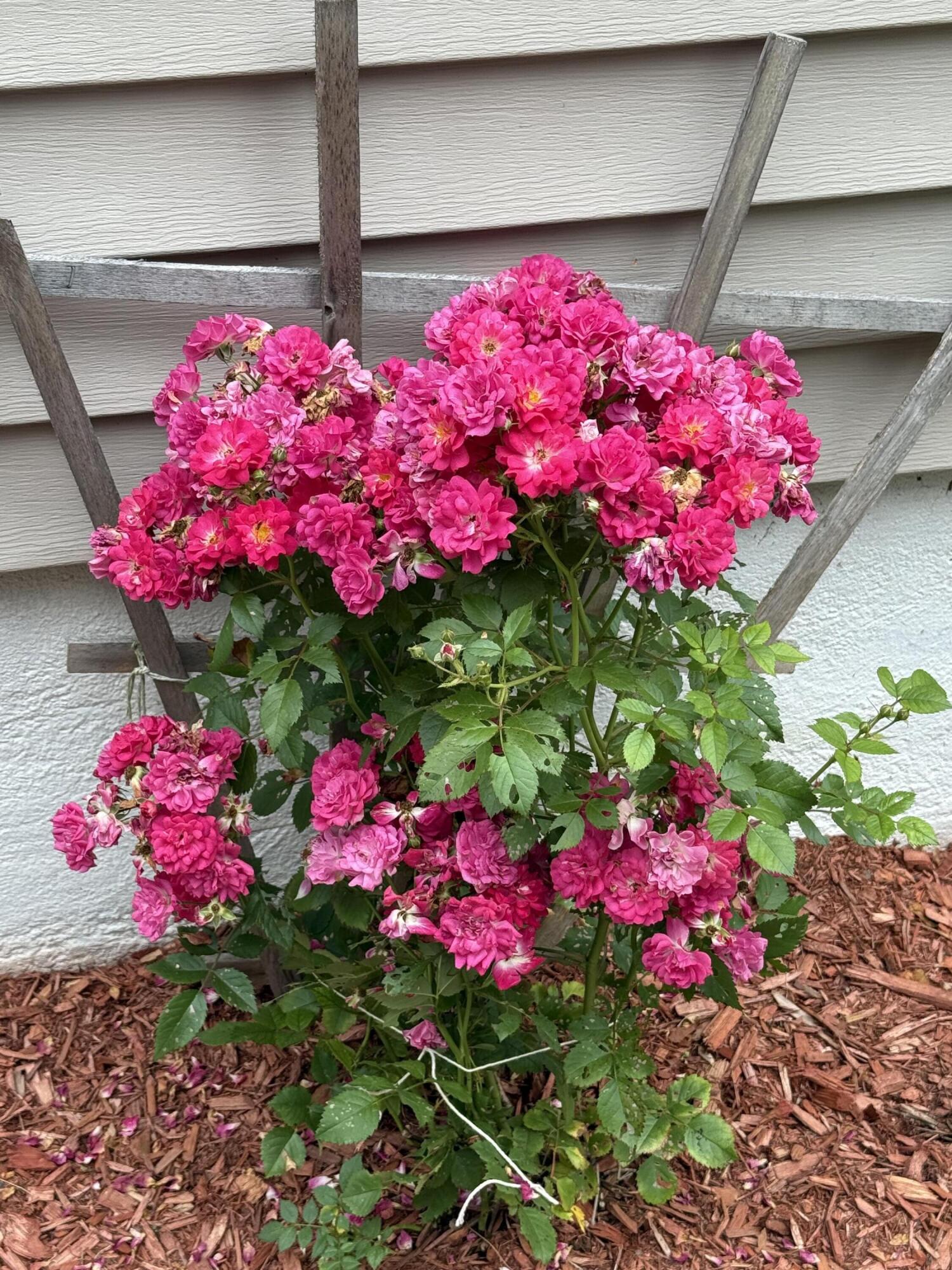 277 Manchester Road Belgrade ME 04917