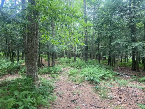 277 Manchester Road Belgrade ME 04917