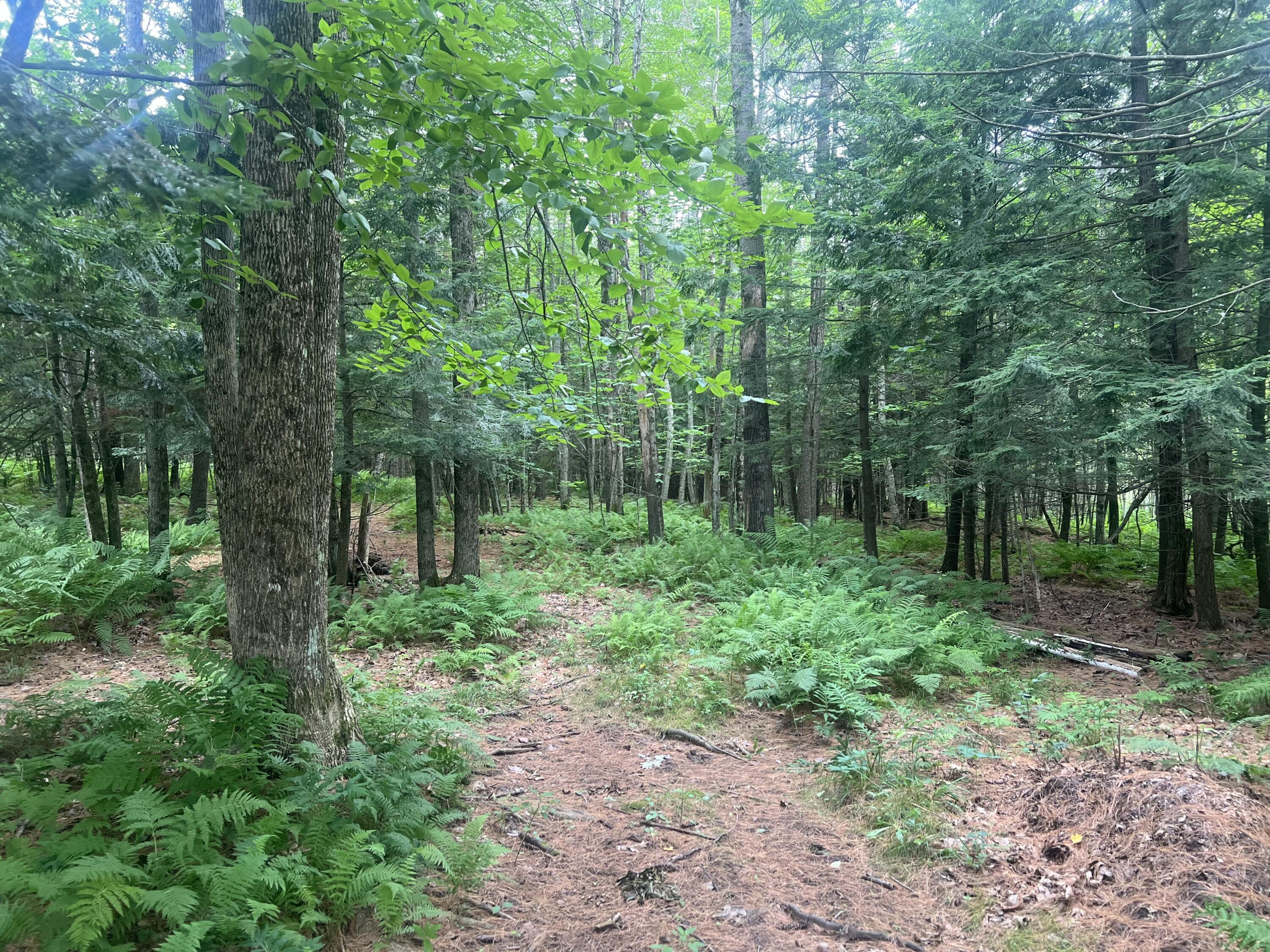 277 Manchester Road Belgrade ME 04917