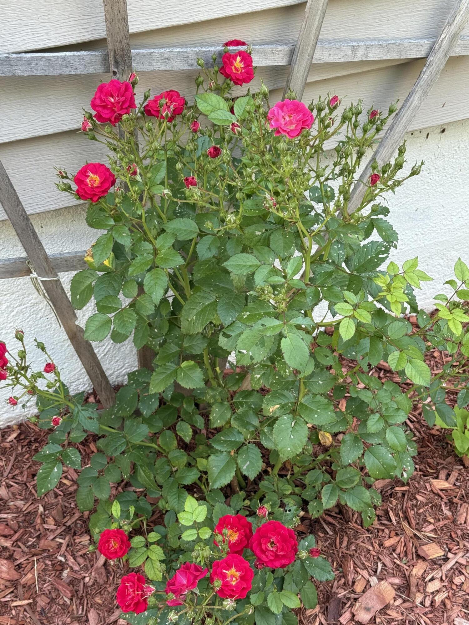 277 Manchester Road Belgrade ME 04917