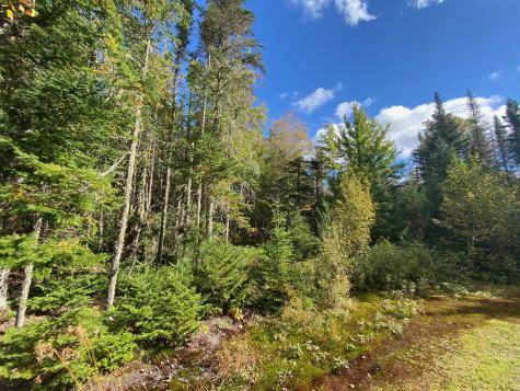 25 Bushey Road Greenville ME 04441