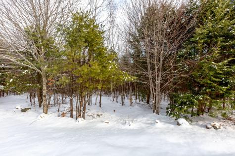 27 George Packard Road Bridgton ME 04009