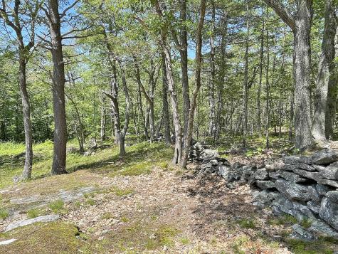 9 Tomcat Trail Edgecomb ME 04556