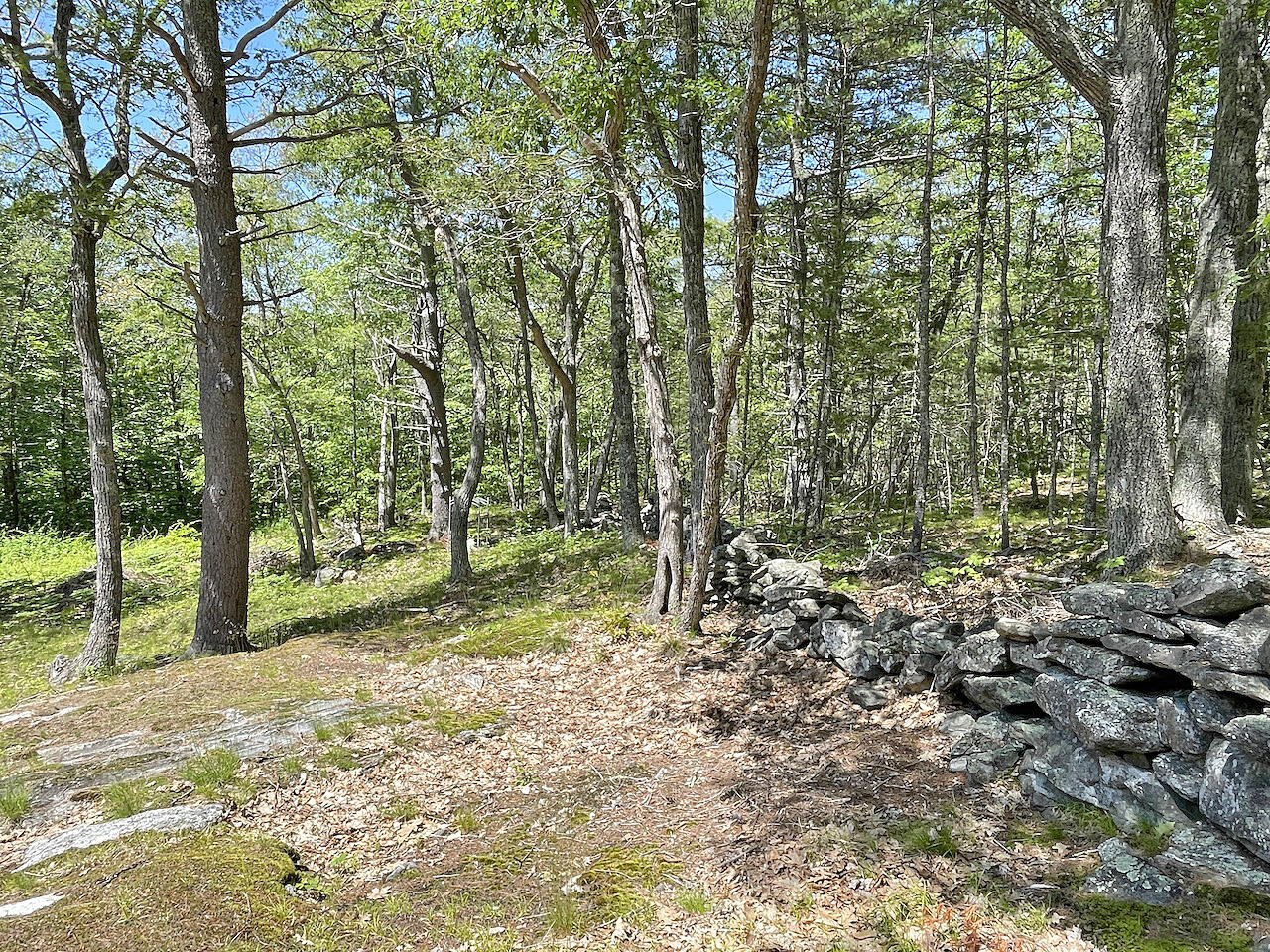 9 Tomcat Trail Edgecomb ME 04556