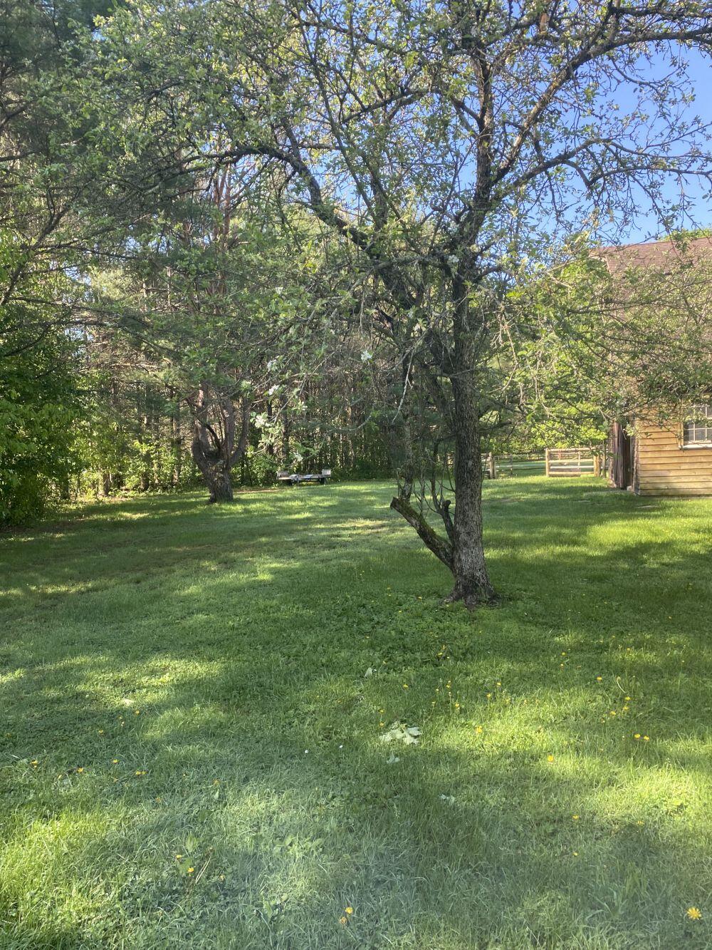 171 S Main Street Solon ME 04979