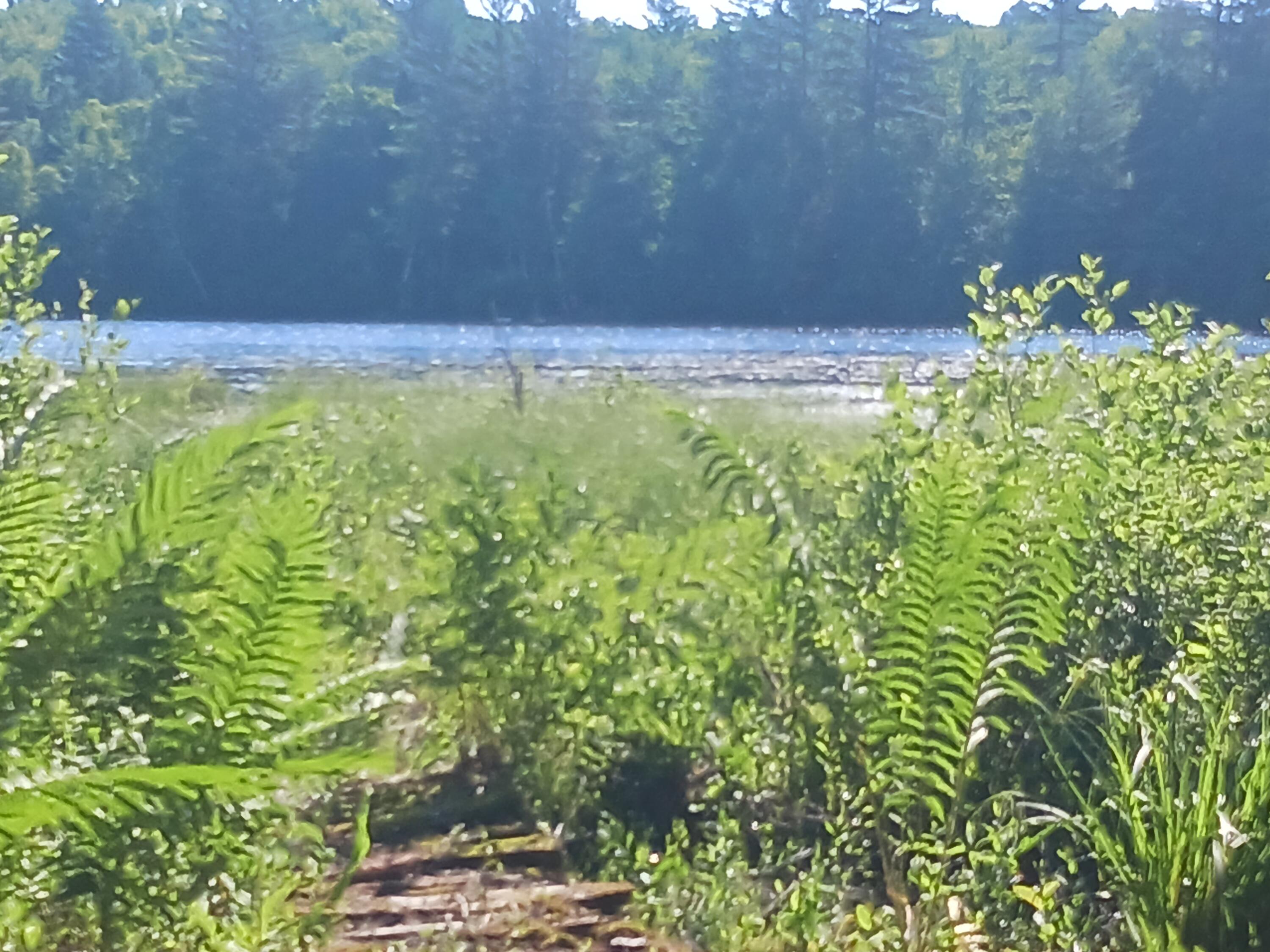 43 Cranberry Drive Embden ME 04958