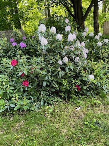 117 Franklin Avenue Farmington ME 04938