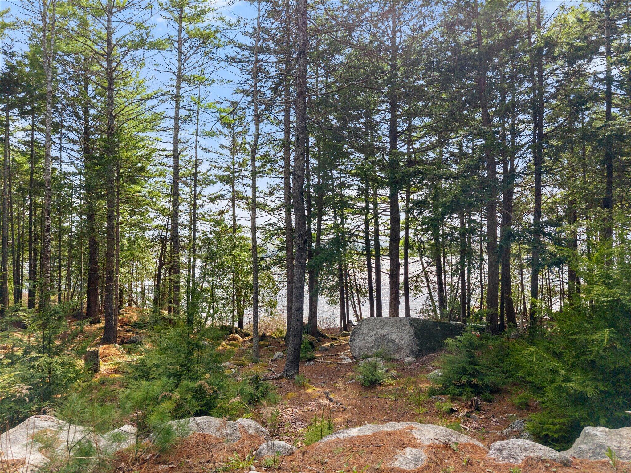 186 Long Point Way Orland ME 04472