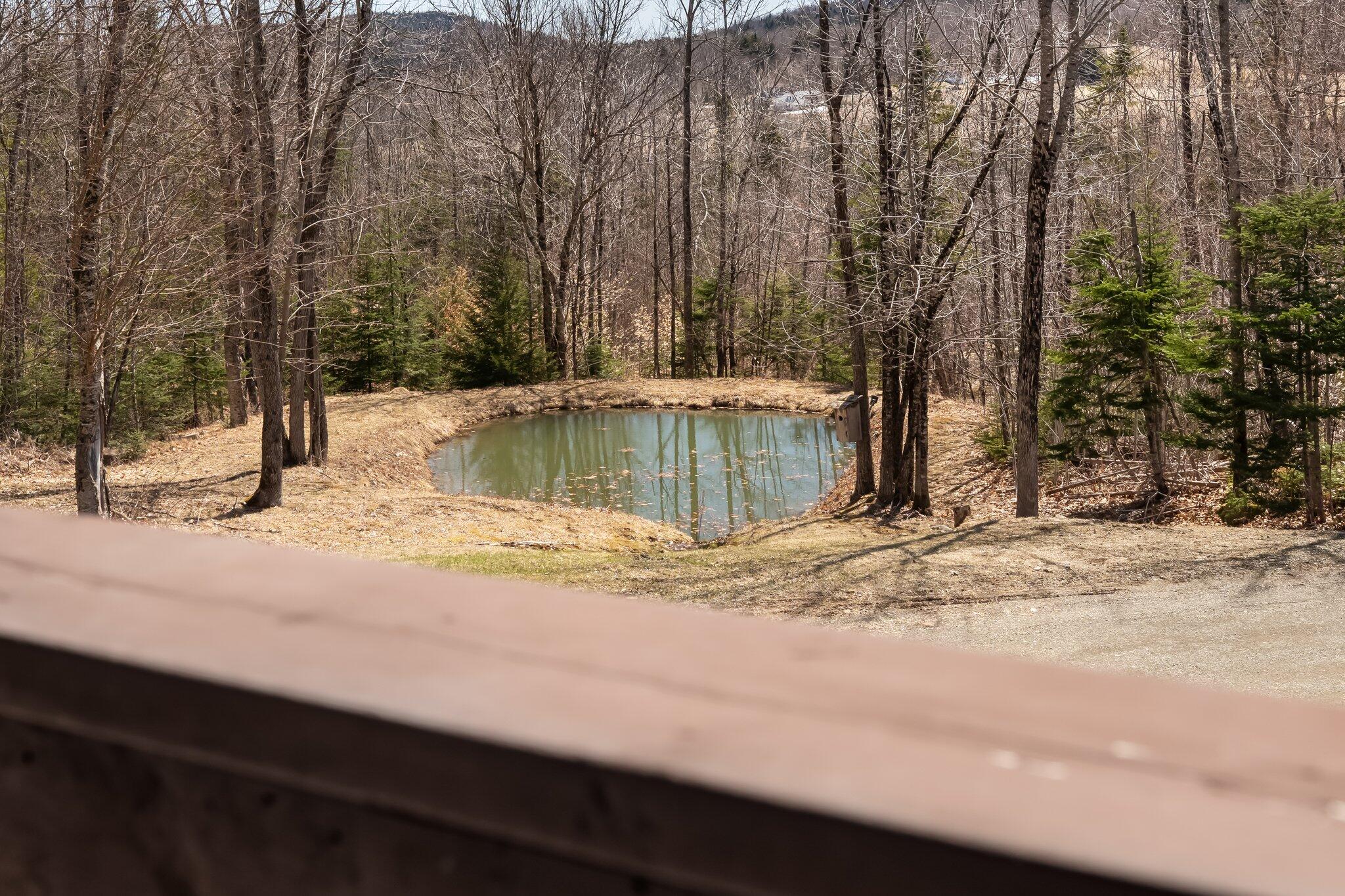 23 Hillcrest Lane Dyer Brook ME 04747