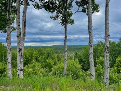 1218 Upper Dobsis Road Lakeville ME 04487