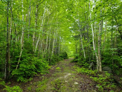 1218 Upper Dobsis Road Lakeville ME 04487