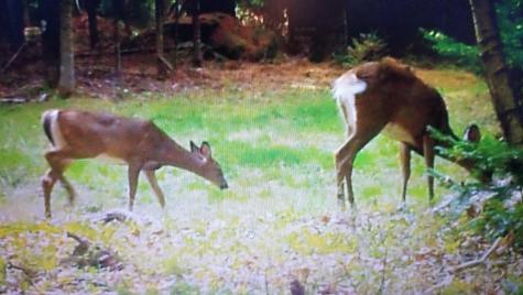 691 Stetson Road Exeter ME 04435