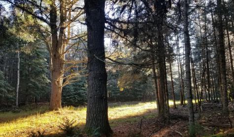 691 Stetson Road Exeter ME 04435