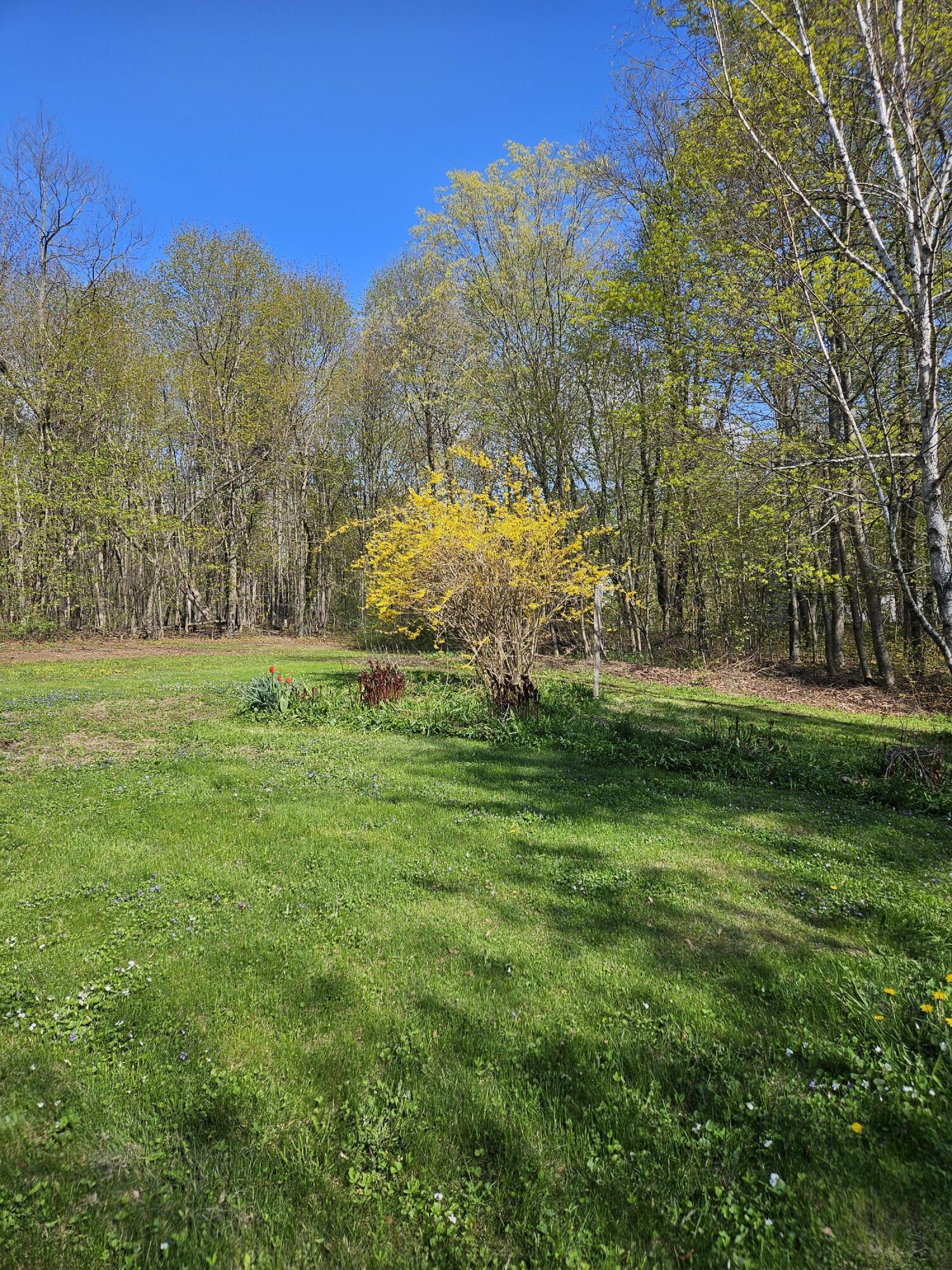 249 Kenduskeag Avenue Bangor ME 04401