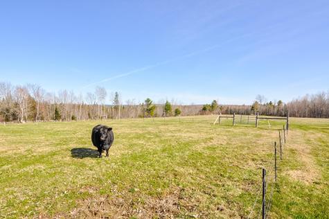 321 Schoodic Lake Road Brownville ME 04414