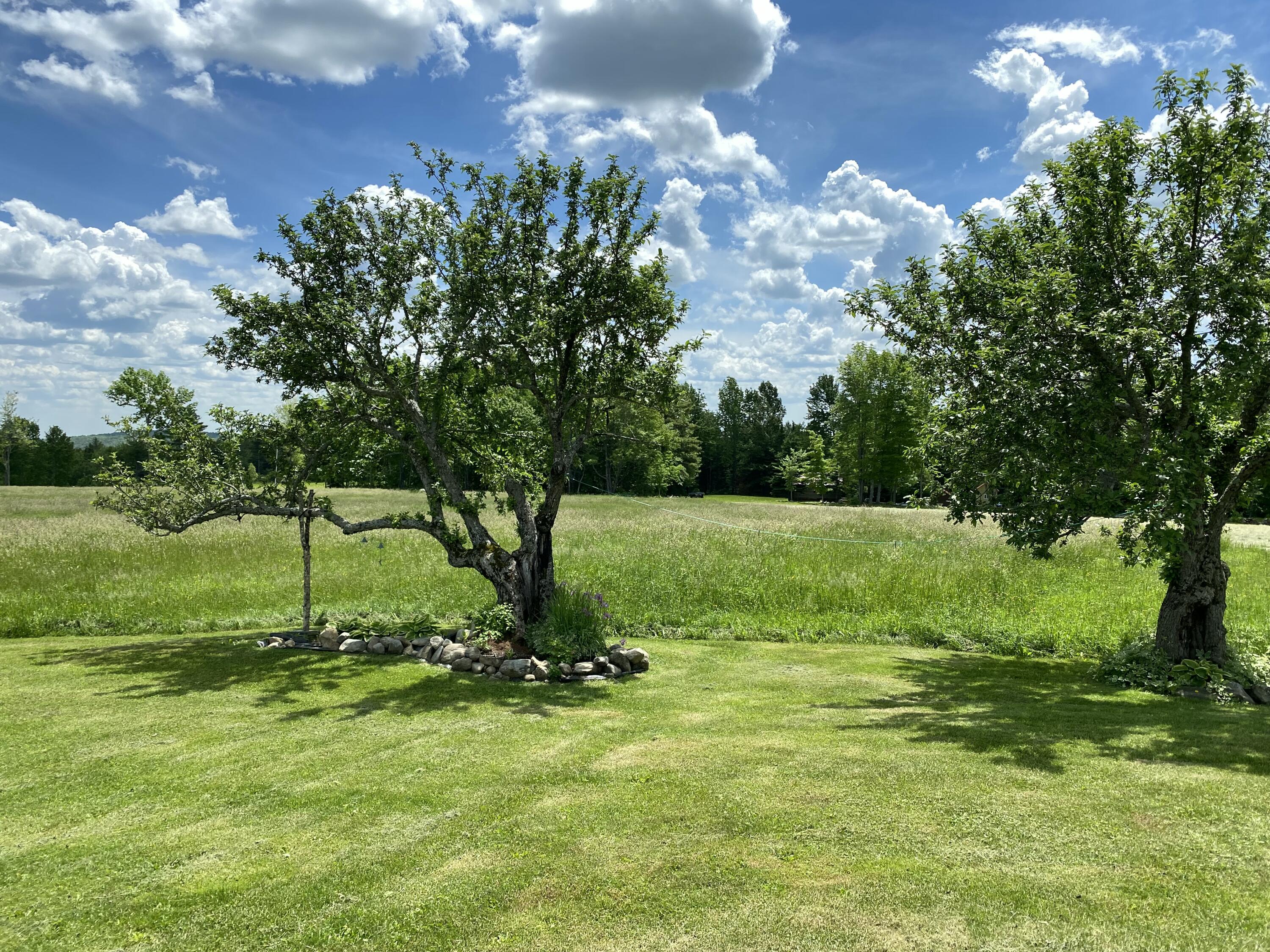 321 Schoodic Lake Road Brownville ME 04414