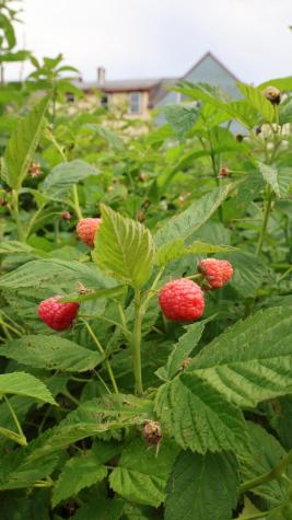 1146 Post Road Bowdoinham ME 04008