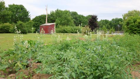 1146 Post Road Bowdoinham ME 04008