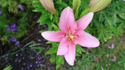 1146 Post Road Bowdoinham ME 04008