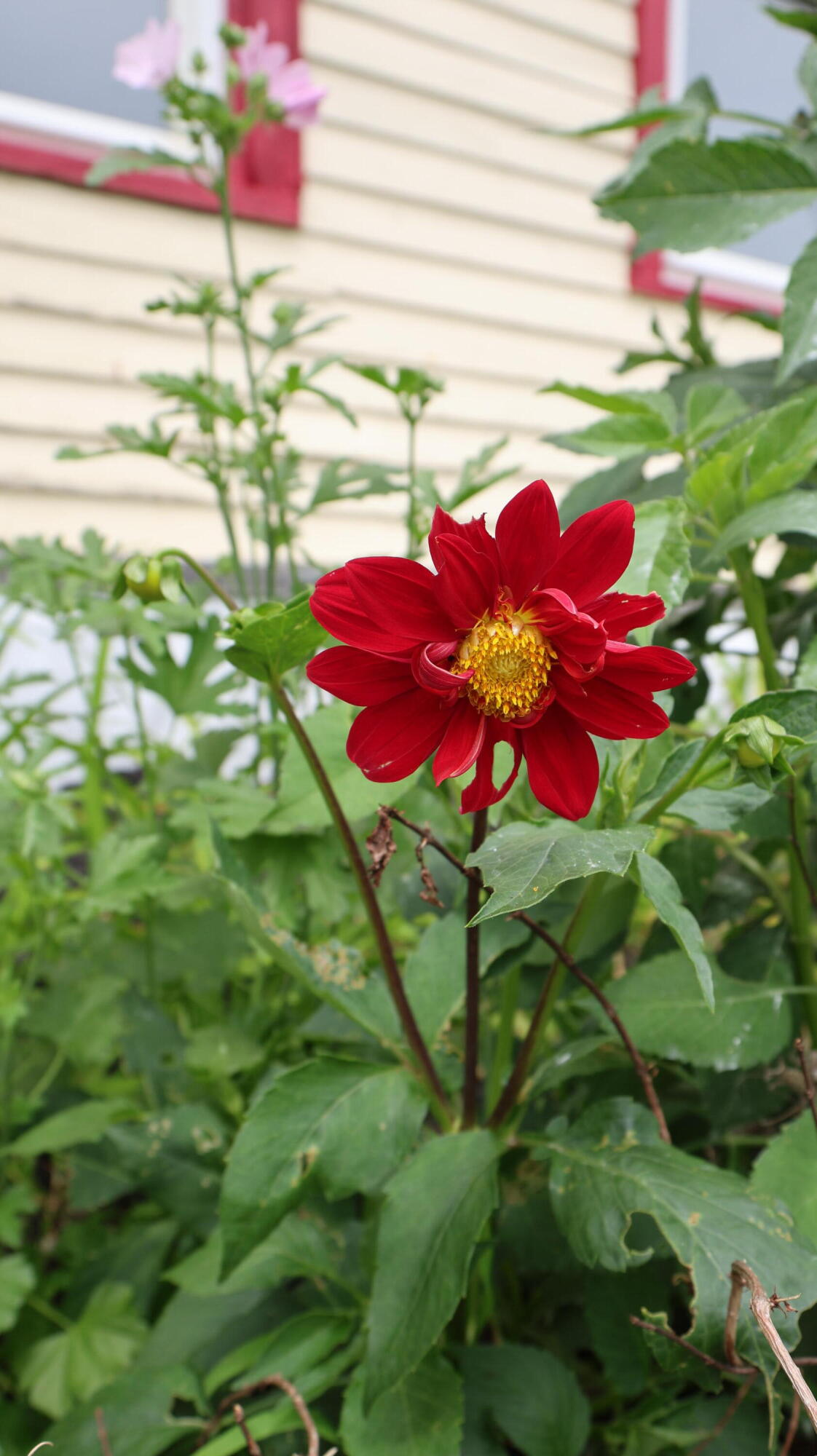 1146 Post Road Bowdoinham ME 04008