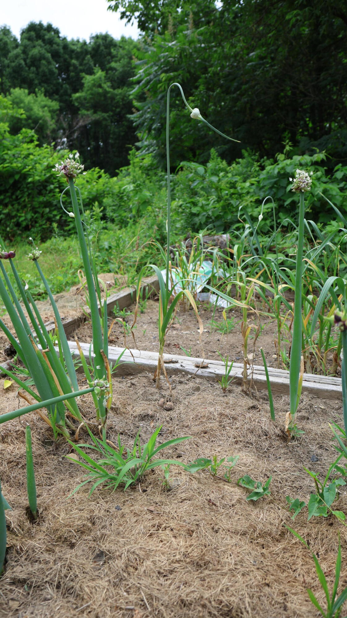 1146 Post Road Bowdoinham ME 04008