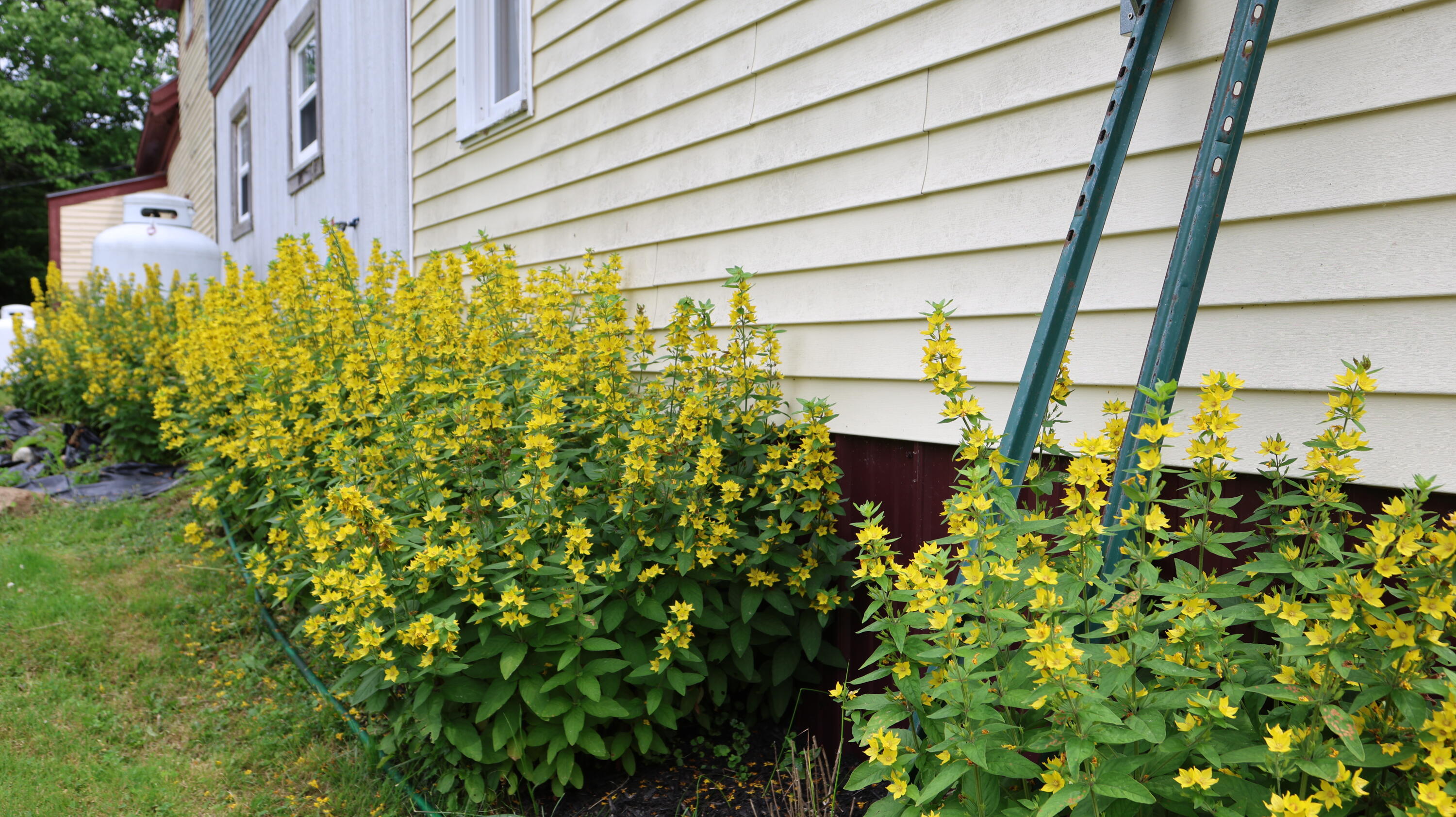 1146 Post Road Bowdoinham ME 04008