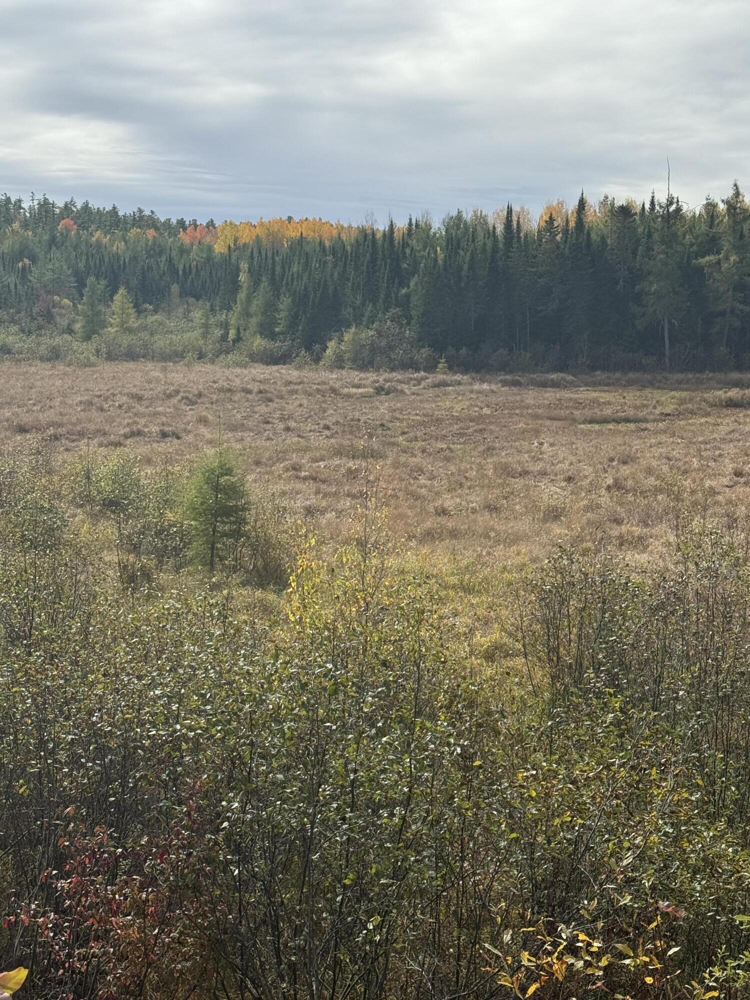 00 Bradbury Brook Road Clifton ME 04428