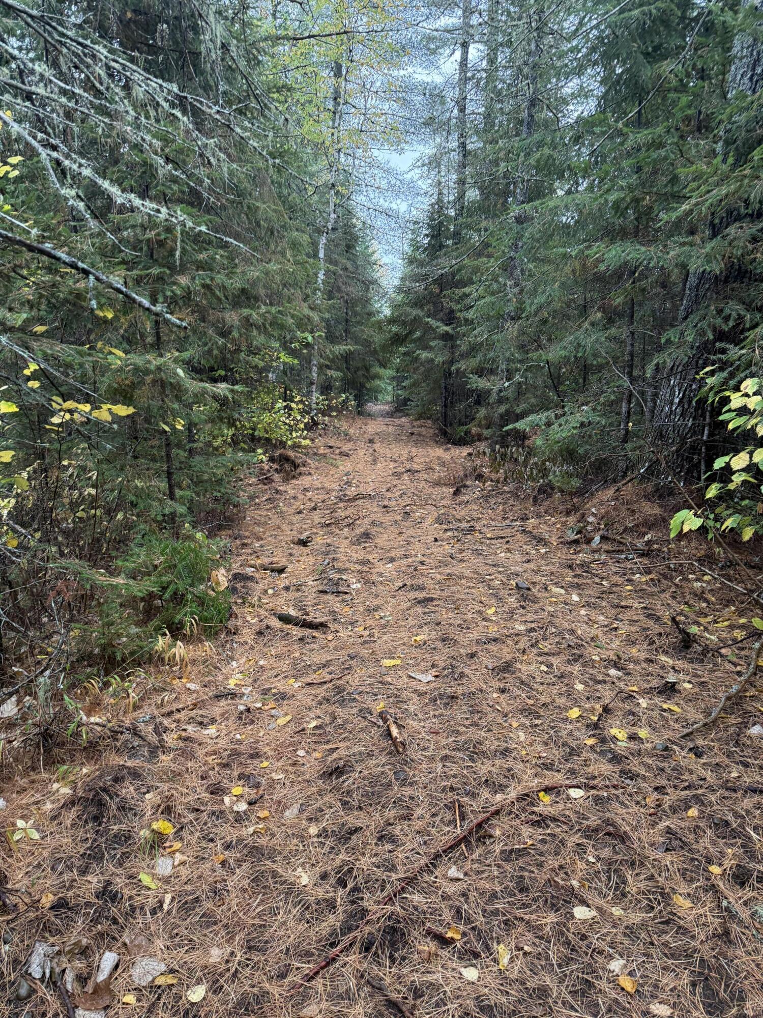 00 Bradbury Brook Road Clifton ME 04428