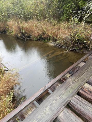 00 Bradbury Brook Road Clifton ME 04428