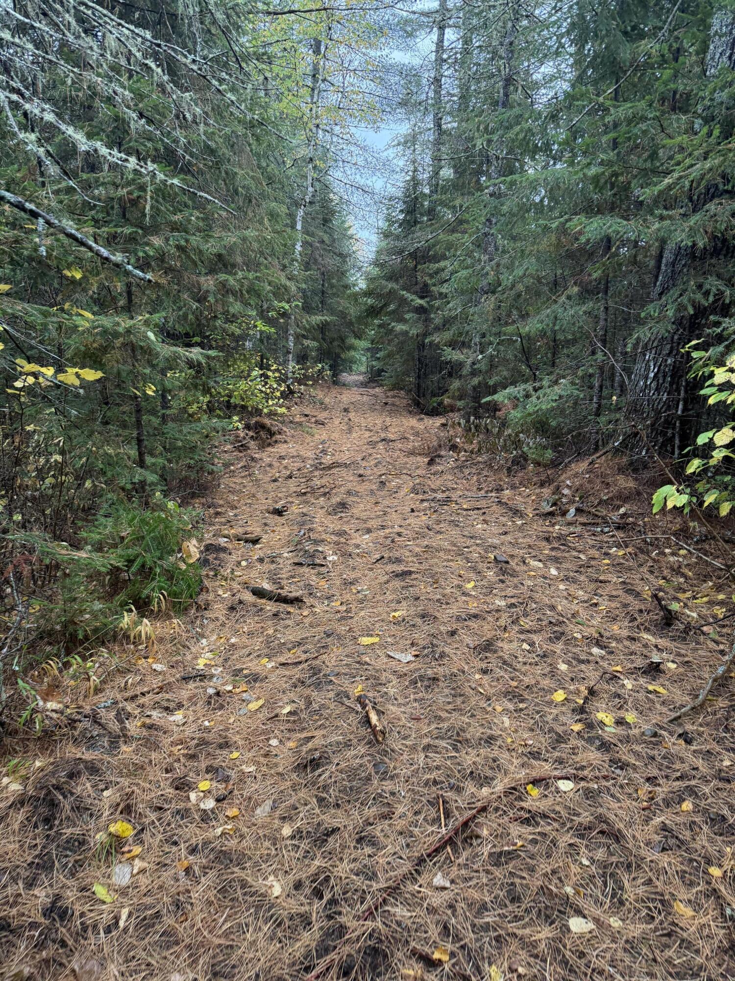 00 Bradbury Brook Road Clifton ME 04428