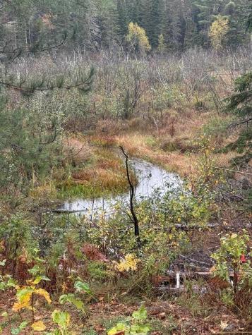 00 Bradbury Brook Road Clifton ME 04428