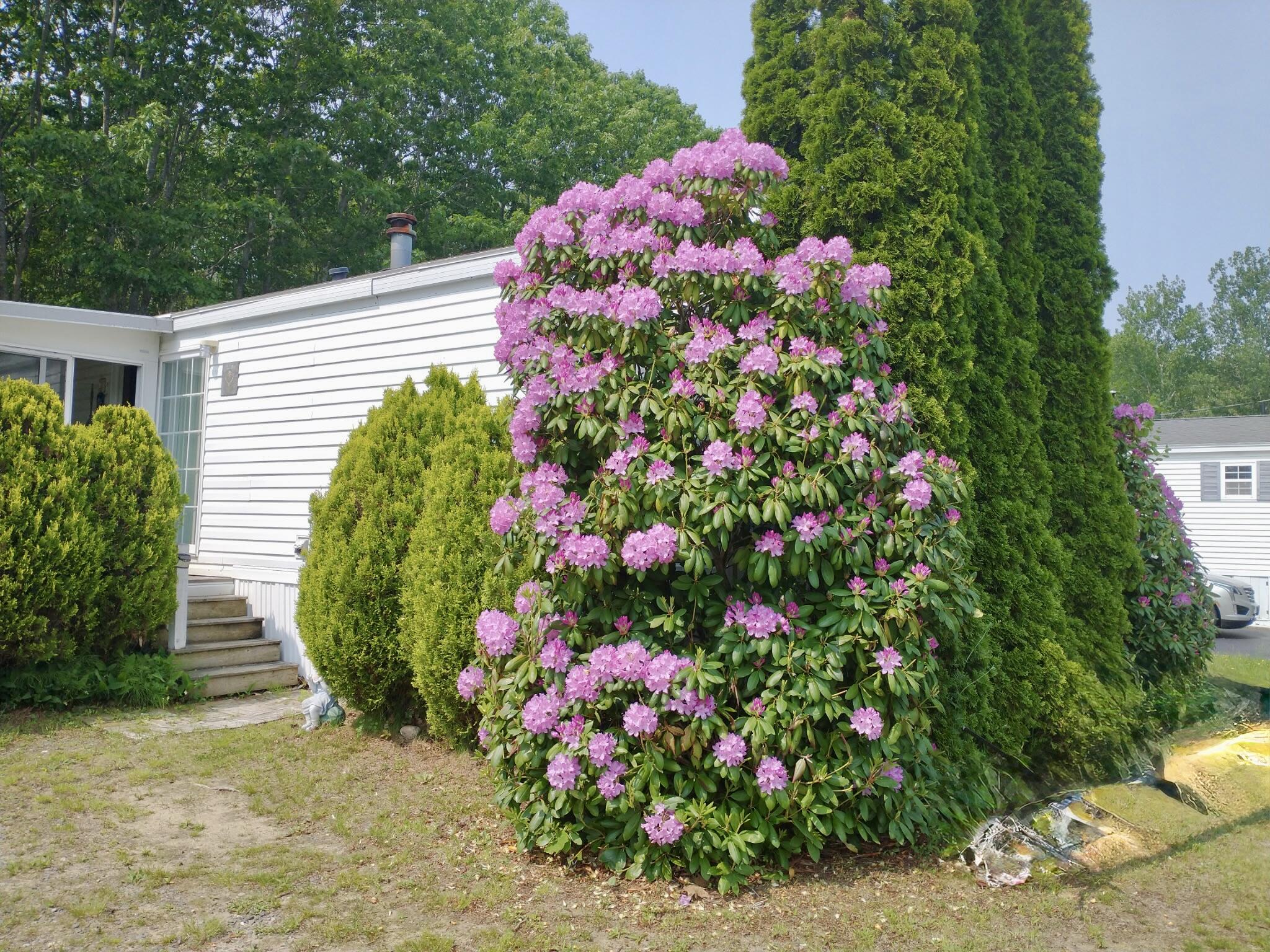 68 Poplar Park Drive Wells ME 04090