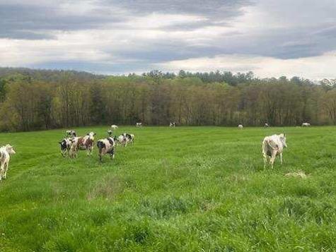 414 Farmington Falls Road Farmington ME 04938