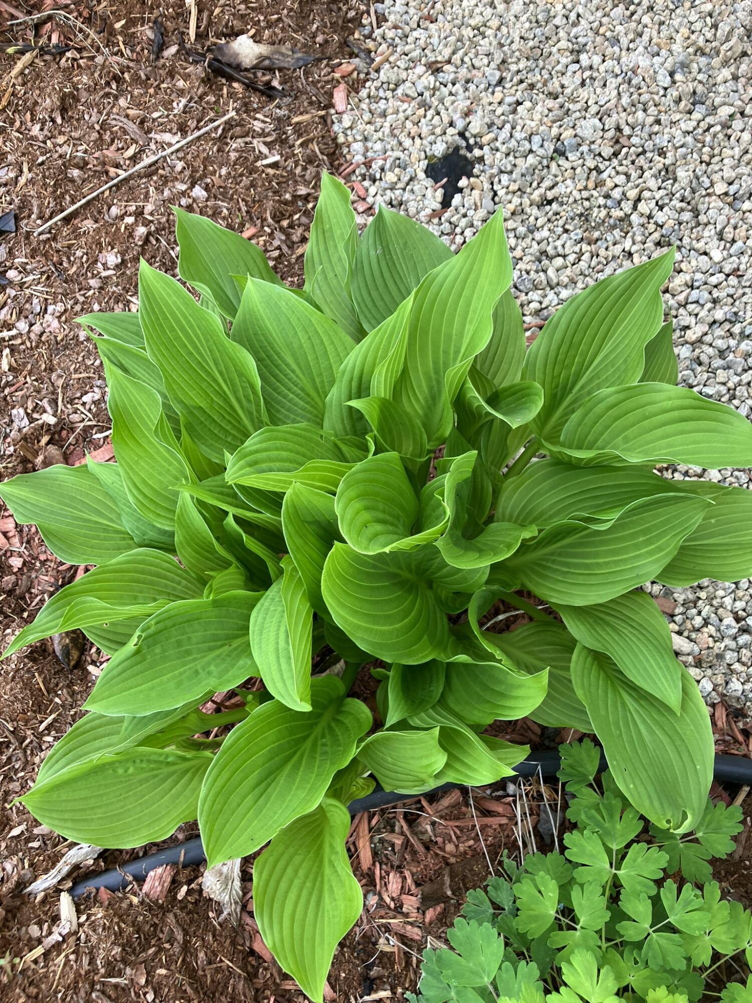 57 Lindsay Drive Levant ME 04456