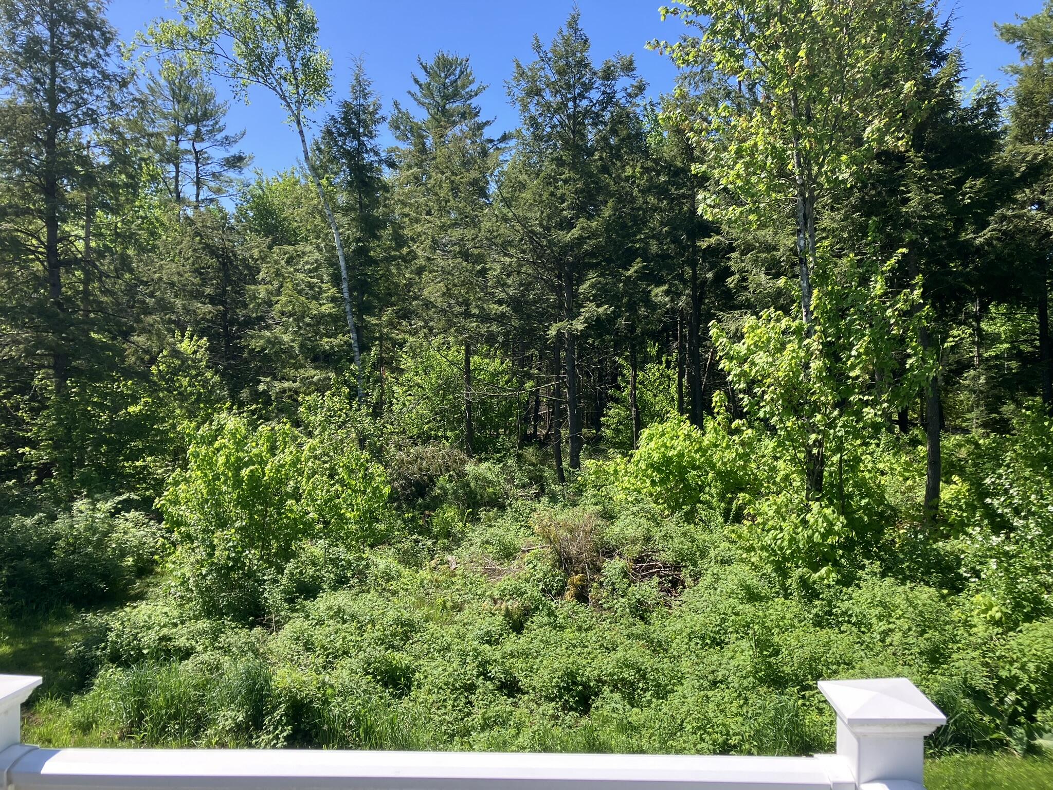 57 Lindsay Drive Levant ME 04456
