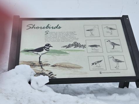 8 Days Landing Biddeford ME 04005