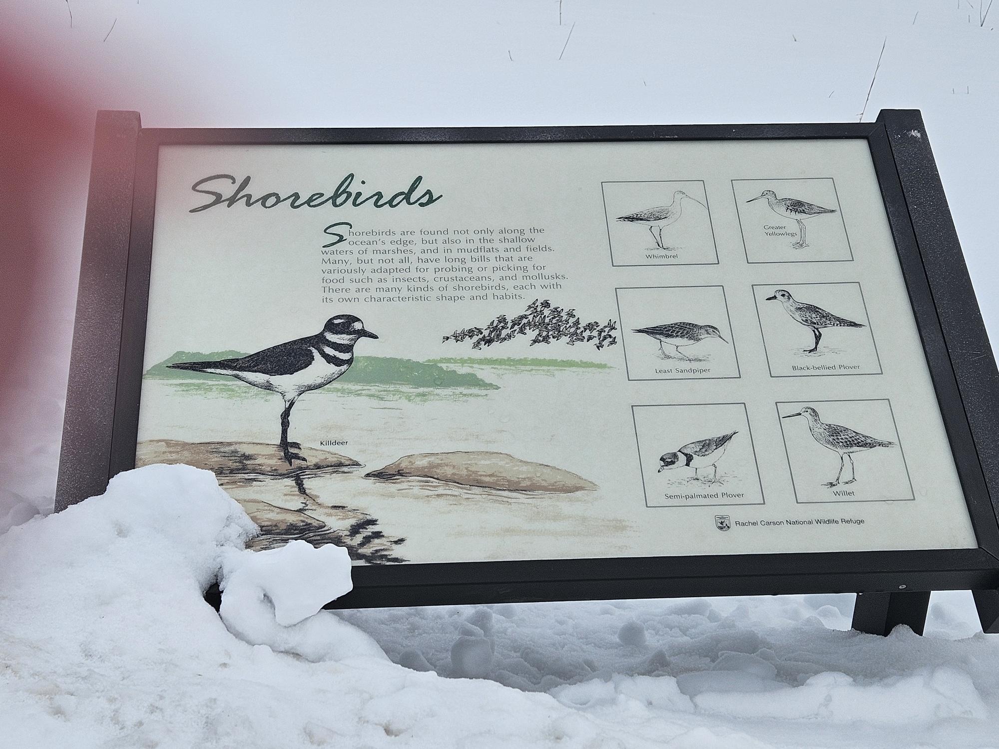 8 Days Landing Biddeford ME 04005