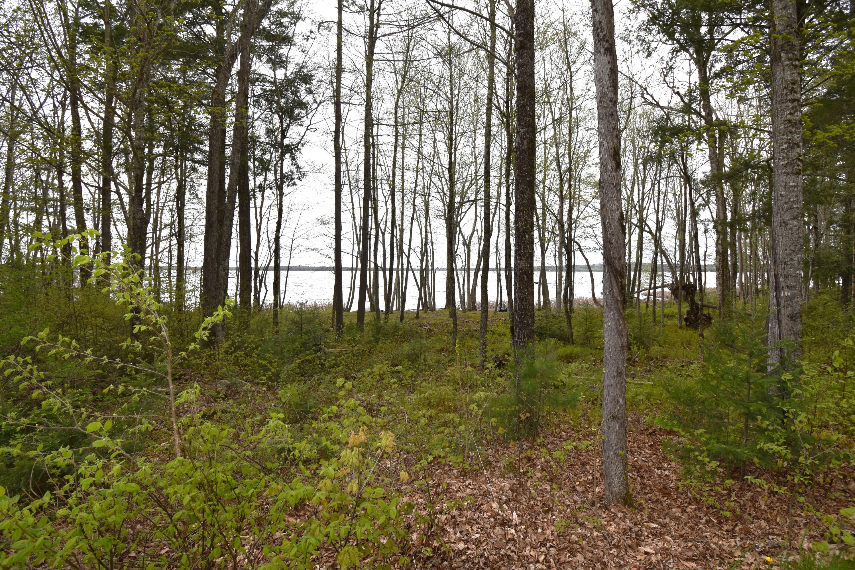106 Shady Lane Newport ME 04953