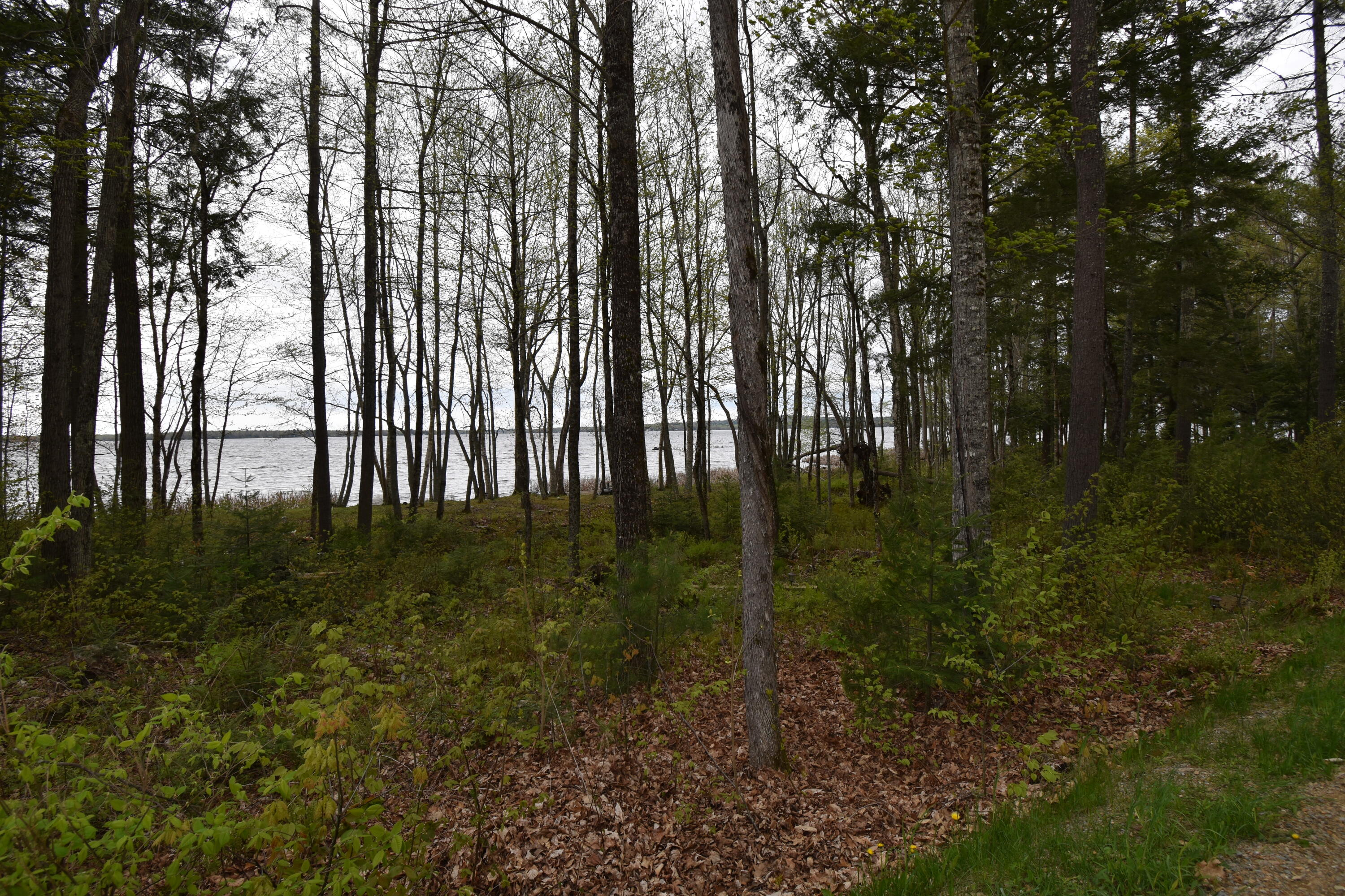 106 Shady Lane Newport ME 04953
